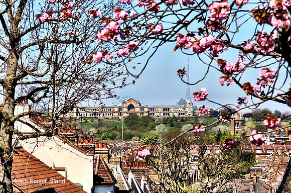 Blossom