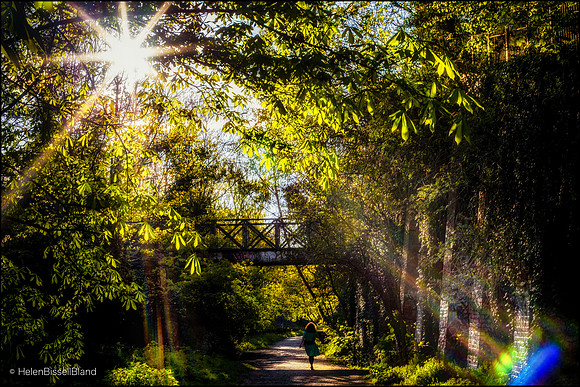 Walking Home