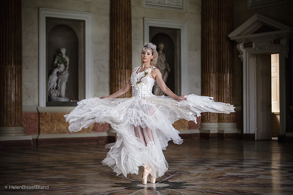 Dancing Swan