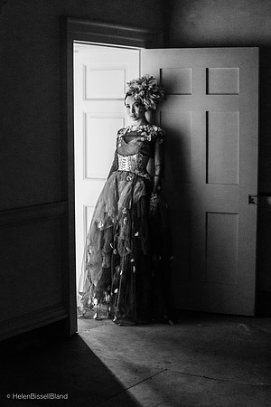 In the Shadows