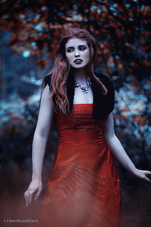 In the Forest of Good and Evil